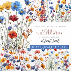 Wildflower Clip Art, Floral Frame, Watercolor Floral Clipart Bundle, Commercial Use, Wedding Clipart, Meadow Flowers, Wildflower PNG