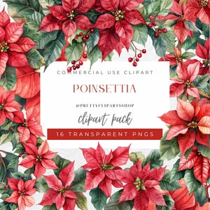 Aquarell Weihnachten roter Weihnachtsstern PNG Set, Weihnachtsrand Blumen, kommerzielle Nutzung, Urlaub Blumendekor, digitaler Download