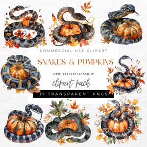Aquarel slangen en pompoenen clipartset, Halloween-clipart, dierlijke PNG, commercieel gebruik, sublimatieontwerp, digitale download