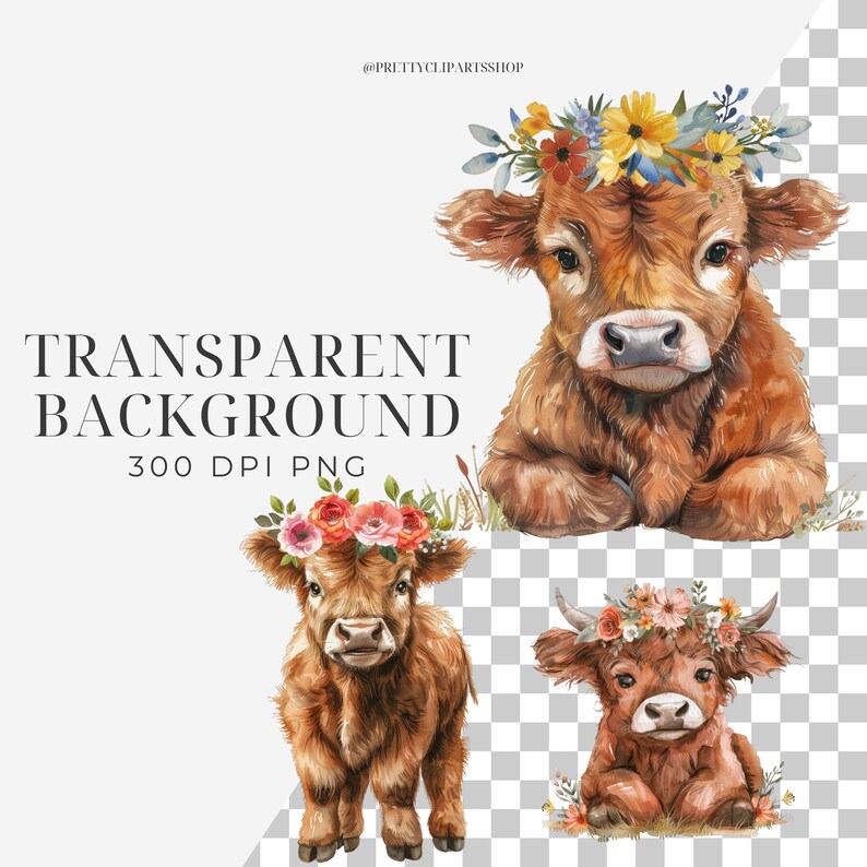 Highland Cow Baby Shower Clipart Set for Commercial Use, Boho Flower ...