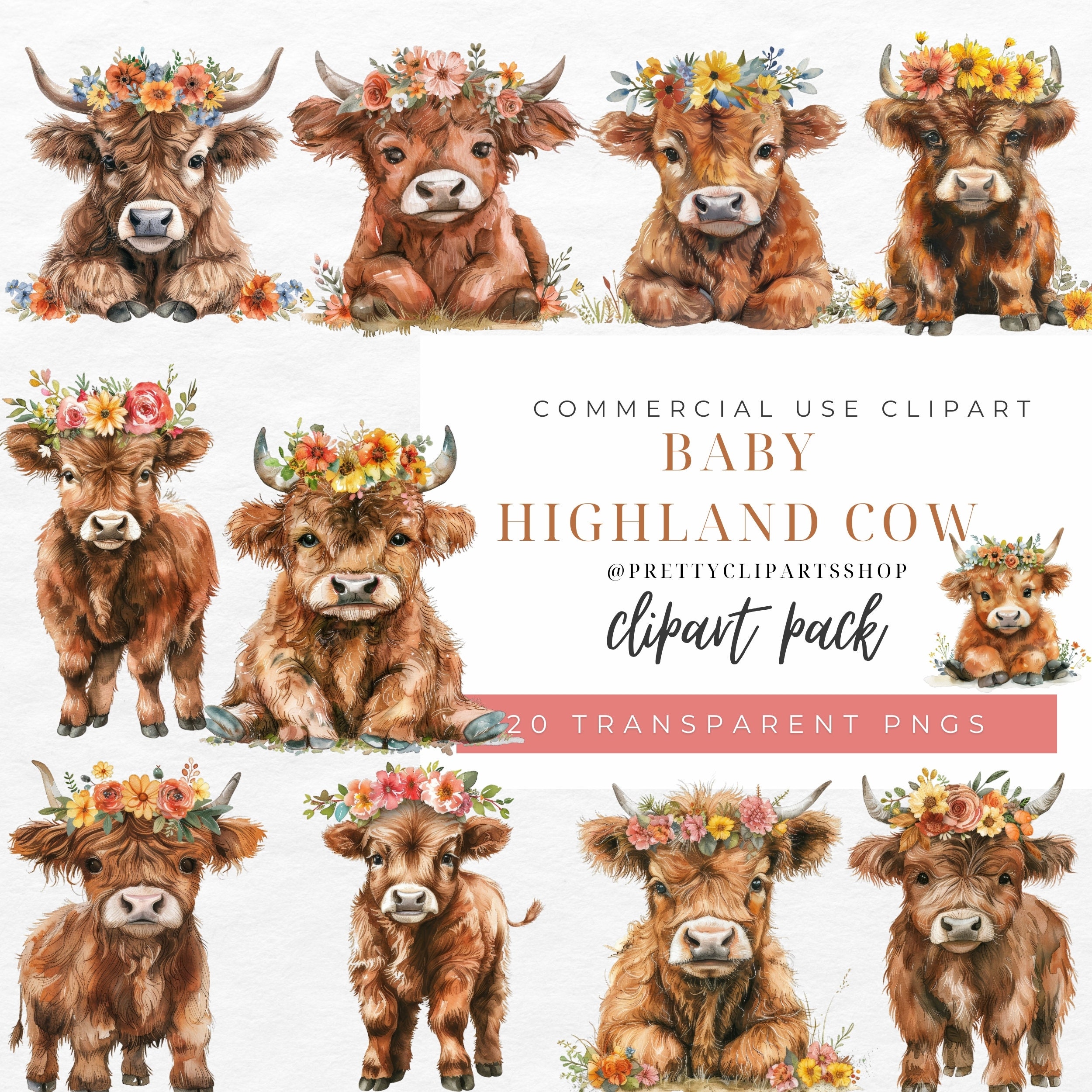 Highland Cow Baby Shower Clipart Set for Commercial Use, Boho Flower ...