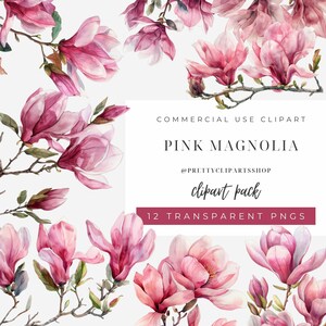 Pink Magnolia acuarela PNG Cliparts para uso comercial, imágenes prediseñadas de flores de primavera, imágenes prediseñadas digitales de boda