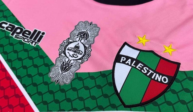 May include: A pink, green, and red soccer jersey with the word "capelli sport" in black lettering on the left side. The jersey also features a white emblem with Arabic script and a green, white, and red shield with the word "Palestino" in white lettering.