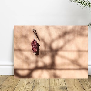 Taos New Mexico Red Dried Chilies hanging on an Adobe House - Fine Art Street Photography, Home Decor, Wall Art