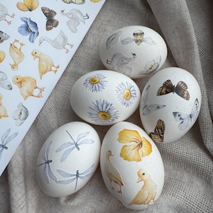 May include: Five white decorative eggs decorated with watercolour illustrations of butterflies, dragonflies, daisies, and ducks. A sheet of matching stickers is visible in the background. The eggs are arranged on a neutral-toned fabric.