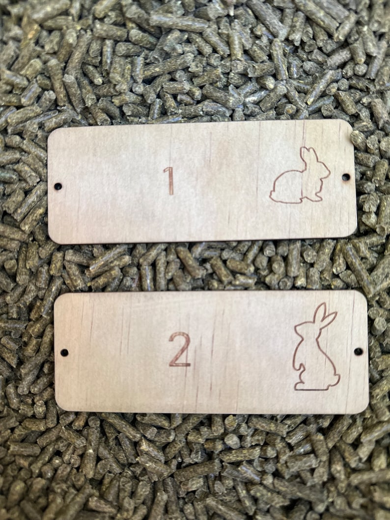 Rabbit Cage Tags - Etsy