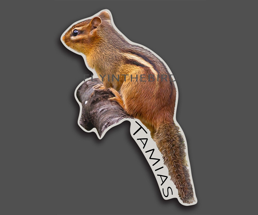 Chipmunk Sticker Chipmunk Waterproof Sticker - Native, America, Animal, Wildlife, Laptop ...