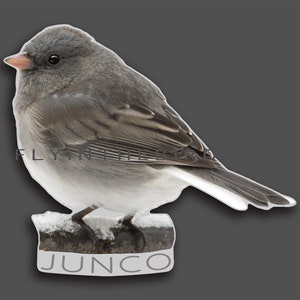 Può includere: Un junco grigio e bianco posato su un ramo con la neve. L'uccello ha la testa grigio scuro e il ventre bianco. La parola "JUNCO" è stampata sotto l'uccello.