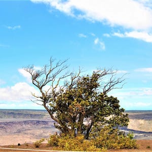 National Parks,Digital photography, Travel Print, Hawaii Home Decor, Hawaii wall art, Hawaii  Digital Art, America wall art, Hawaii Volcano