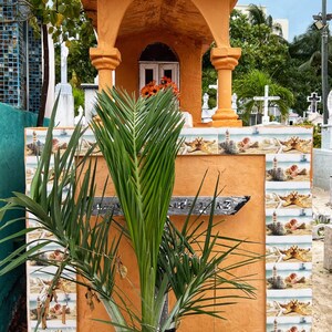 May include: A small orange building with a white cross on top, surrounded by palm trees and other buildings. The building has a tiled base with a pattern of seashells and starfish.