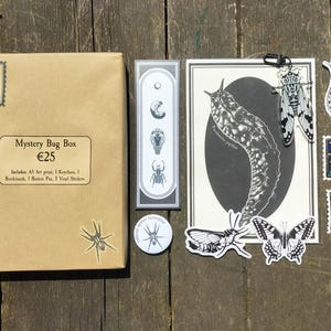Entomologie Mystery Geschenkbox | Käfer und Insekten Überraschungs-Set | Druck, Lesezeichen, Sticker, Schlüsselanhänger, Pin
