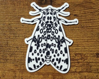 Sticker papillon léopard | Sticker insecte en vinyle pour ordinateur portable | Sticker bug d'entomologie