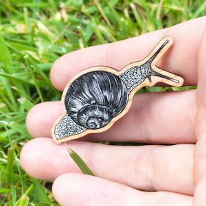 Snail Wooden Pin | Pin for Bug Lovers | Garden Snail  | Entomology and Insect inspired Illustration  | Natural History