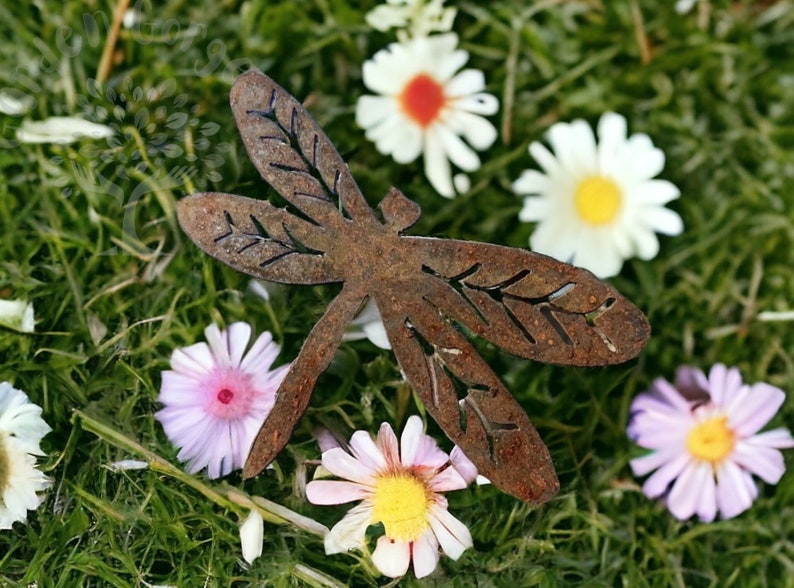 Rustic rusty metal dragonfly garden decoration with cut out v-leaf shapes in the four insect wings. Sitting on grass surrounded with small white  and slightly pink daisies, each with different coloured centres.
