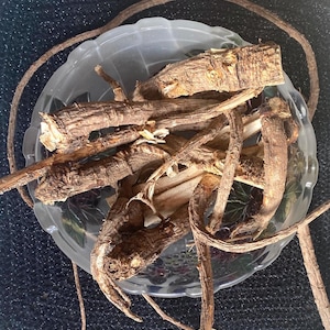ANGELICA whole Root. Witchcraft Spellwork, Apothecary herb, Healing, Guardian, Blessings, Protection, natural curio