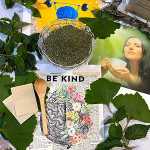 Gehirn und Memory Focus Kräutertee, Bio Ginkgo Biloba Rosmarin und Lantana Camara Mischung