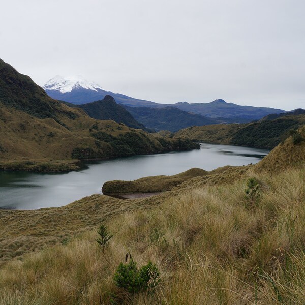 Andes Mountains | DOWNLOAD | travel photography | nature photography | landscapes