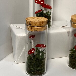 Mini Mushroom Jars