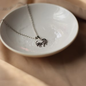 Leo Zodiac Necklace 925 Sterling Silver Rhodium Plated Lion Pendant Astrology Jewelry Gift for Women Celestial Horoscope Sign Charm
