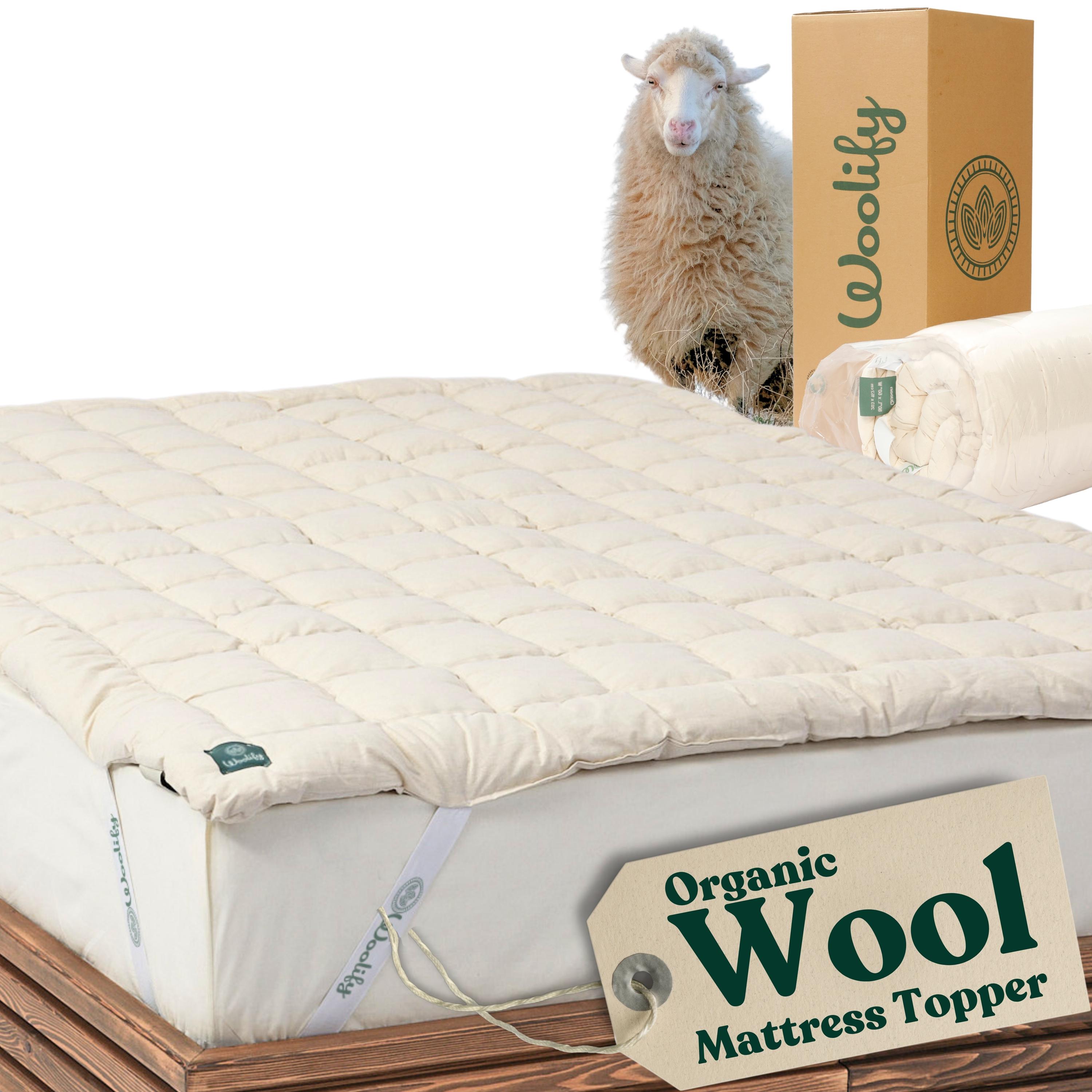 Mattress Shop Pillow Topper My Pillow Super Sleeper Pro Mattress