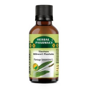 Ribwort Plantain Tincture, plantago lanceolata, 50 ml, Herb Extract