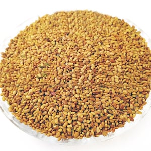 Alfalfa seeds for germination Herb Tea - Alfalfa, Medicago sativa