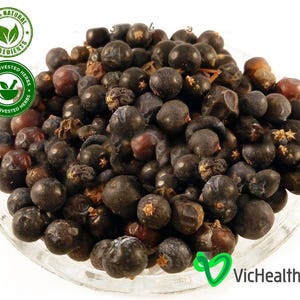 Fruto de enebro seco - Azul, Juniperus communis