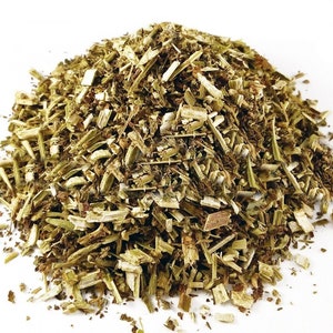 Catnip, Nepeta stalk cut Herbal Tea- Catnip, Nepeta cataria