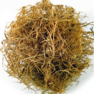 Cat&#39;s claw bark cut Herb Tea, Uncaria tomentosa