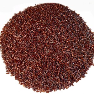 Psyllium, Black Husk Fibers - seeds of Psyllium Nigrum Husk