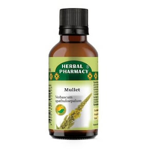 Mullet Tincture , Verbascum spathulisepalum, 50 ml, Herb Extract Tincture
