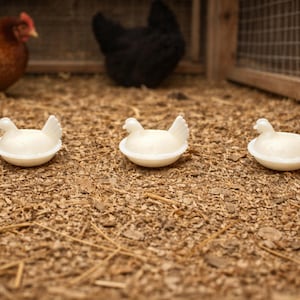 May include: Three white ceramic chicken-shaped egg holders sit on a bed of wood shavings. A brown hen and a black hen are visible in the background, inside a coop.