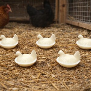 May include: Five white, chicken-shaped soap dishes are arranged on a bed of straw. Two chickens are visible in the background, one brown and one black, near a wooden coop. The soap dishes are detailed with wings and a textured surface.
