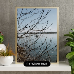 Portland, Oregon, PNW, Photography, Portland Photography, Oregon Print, PNW Wall Art