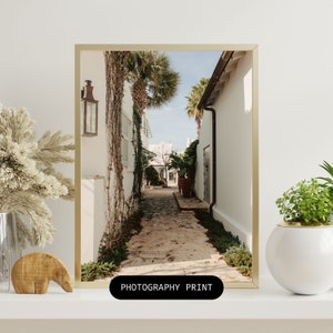May include: A photograph of a narrow, white-walled alleyway with a stone path leading to a courtyard. Palm trees and lush greenery line the sides of the alleyway, creating a tropical ambiance. The image is framed in a gold-colored frame.