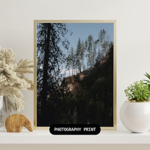 Portland, Oregon, PNW, Photography, Portland Photography, Oregon Print, PNW Wall Art