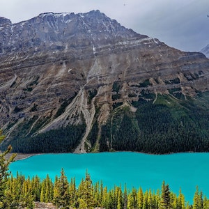 Peut inclure: Vue panoramique d'un lac turquoise entouré d'une forêt luxuriante et d'une montagne enneigée en arrière-plan.