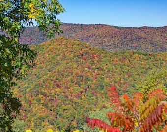 May include: A panoramic view of a mountain range with a variety of trees in shades of green, red, orange, and yellow. The leaves are changing color for autumn.