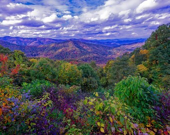 Vibrant fall colors paint a hillside in Great Smoky Mountains#9562. Blue Ridge Parkway,  Canvas/Acrylic photo print, Lager HD Wall art Decor