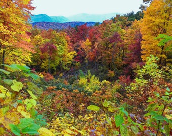 The colorful fall of the Great Smoky Mountains in North Carolina#7861，Canvas/Acrylic photo print, large wall art decor for home/office