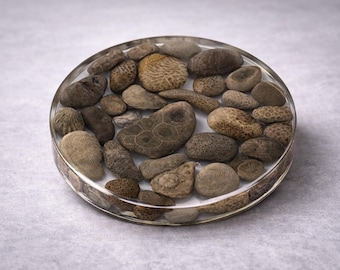Petoskey & Charlevoix Stone Resin Coaster, Michigan Stone Coaster, Handmade Natural Stone Drink Coaster