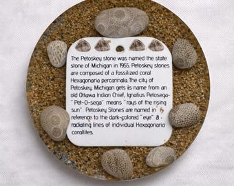 Petoskey Stone Coaster with Info Card, Michigan Fossil Coral Decor, Handcrafted Resin Keepsake