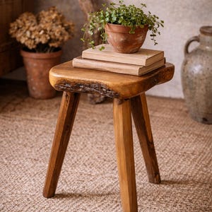 Peut inclure: Un petit tabouret en bois artisanal avec trois pieds inclinés. Le dessus du tabouret est une dalle de bois naturel, avec un bord brut. Un pot en terre cuite avec une petite plante verte est posé sur deux livres. Le tabouret est sur un tapis tissé.