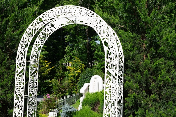 114.2 in. x 81.3 in. Black Metal Garden Arch Arbor Birdcage