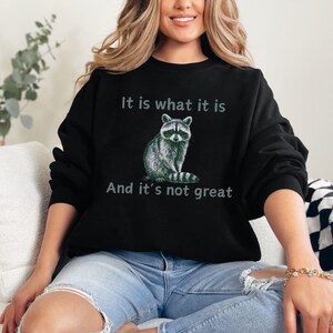 Sweat-shirt raton laveur drôle, santé mentale, ras du cou - mélange épais unisexe, sweat à capuche, pull, pull, chemise à manches longues, cadeau