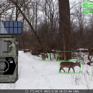 AI 4G Solar Live view Trail Camera | 100MP 4K Wildlife Camera