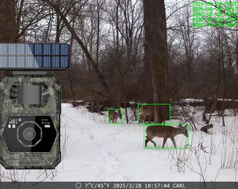 AI 4G Solar Trail Camera | 100MP 4K Wildlife Camera