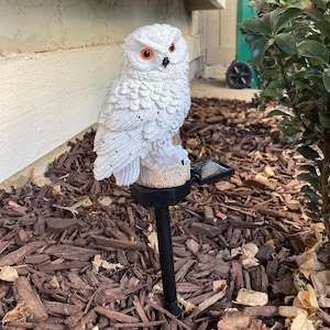 May include: A white owl solar garden stake with orange eyes. The owl is perched on a branch and has a solar panel on its back. The stake is inserted into brown wood chips.