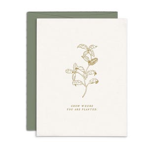 Faites pousser là où vous êtes planté, carte d'encouragement typographique - encre dorée, blanc à l'intérieur, enveloppe verte respectueuse de l'environnement, fabriqué dans le Michigan