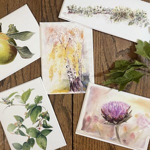Diverse botanische originele aquarelwenskaarten (5 kaarten) - appel, berk, bosbessen, distel, korstmos